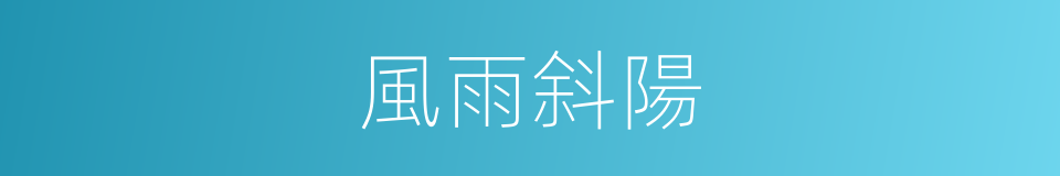 風雨斜陽的同義詞