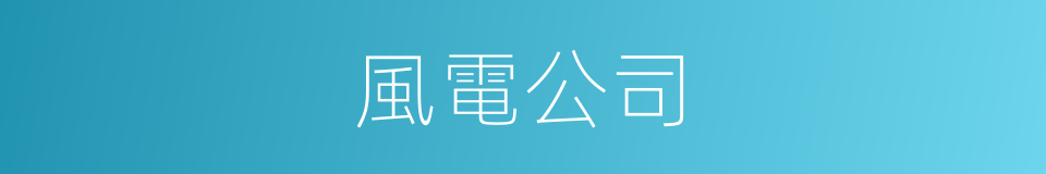 風電公司的同義詞
