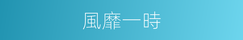 風靡一時的意思