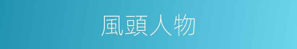 風頭人物的同義詞