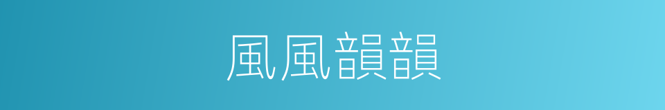 風風韻韻的意思