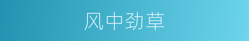 风中劲草的意思