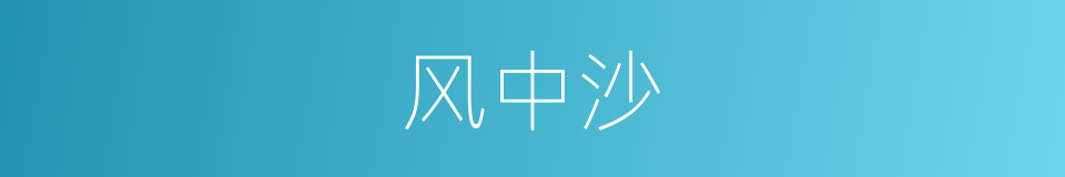 风中沙的同义词