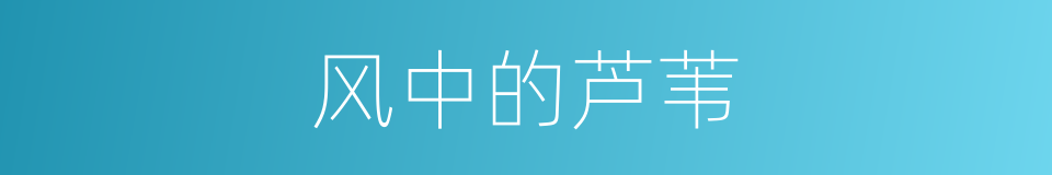 风中的芦苇的同义词
