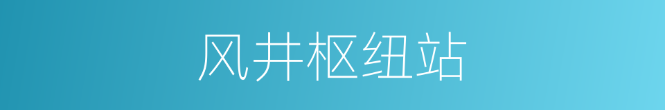 风井枢纽站的同义词