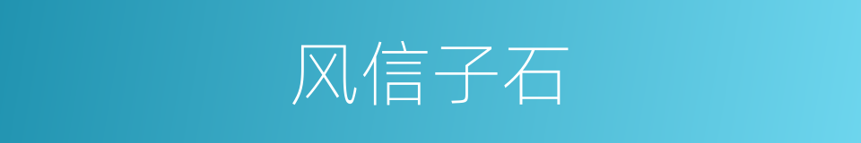 风信子石的同义词