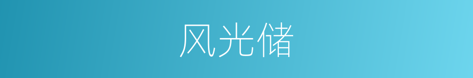 风光储的同义词