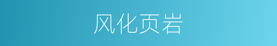 风化页岩的同义词