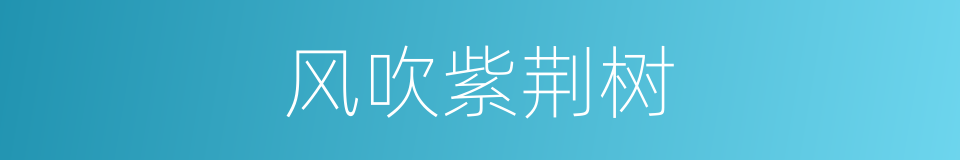 风吹紫荆树的同义词