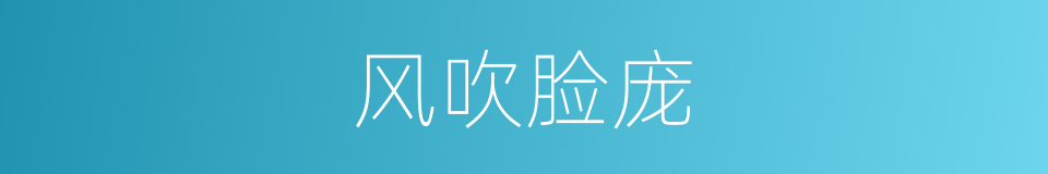 风吹脸庞的同义词