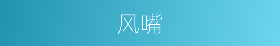 风嘴的同义词