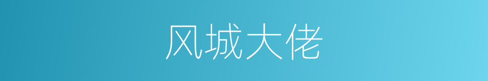 风城大佬的同义词
