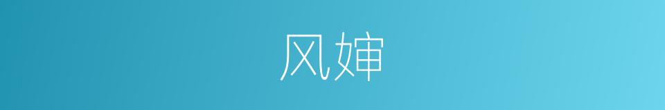 风婶的同义词