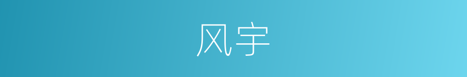 风宇的意思