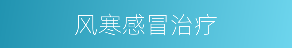 风寒感冒治疗的同义词