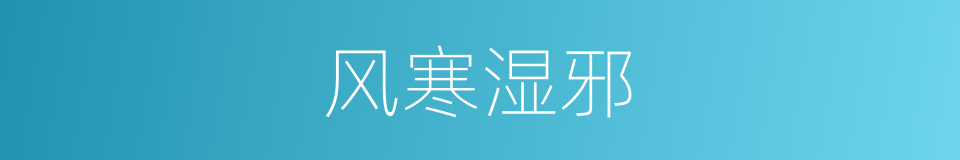 风寒湿邪的意思