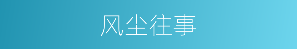 风尘往事的同义词