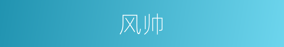 风帅的同义词