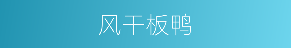 风干板鸭的同义词