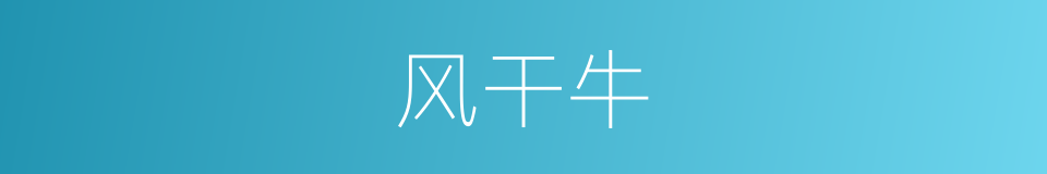 风干牛的同义词