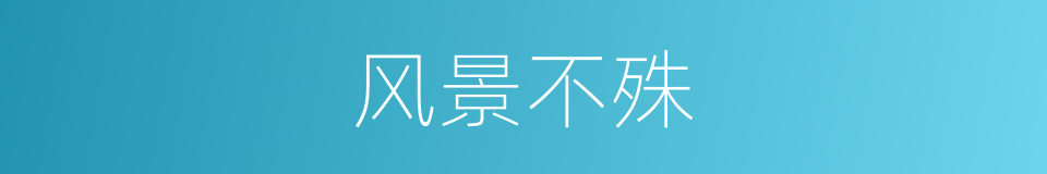 风景不殊的意思