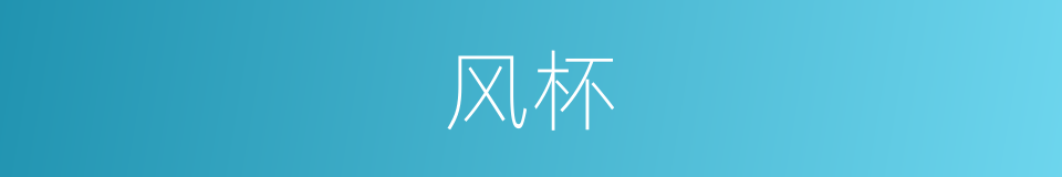 风杯的同义词