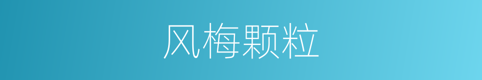 风梅颗粒的同义词