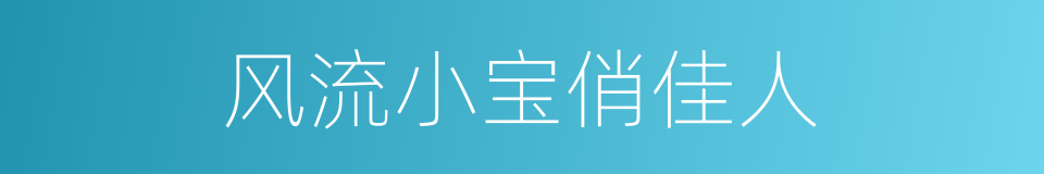 风流小宝俏佳人的同义词