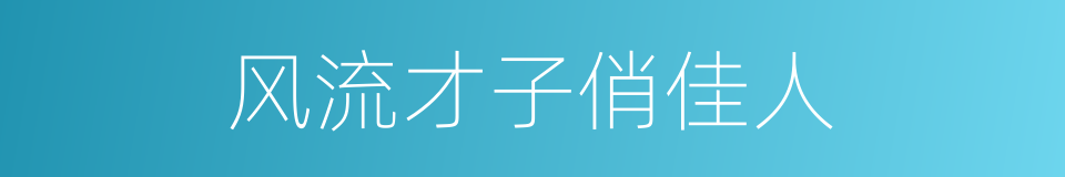 风流才子俏佳人的同义词