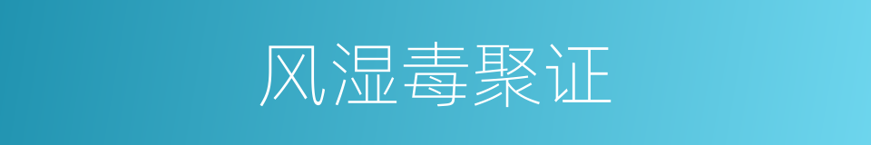 风湿毒聚证的同义词
