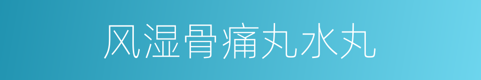 风湿骨痛丸水丸的同义词