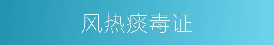 风热痰毒证的同义词