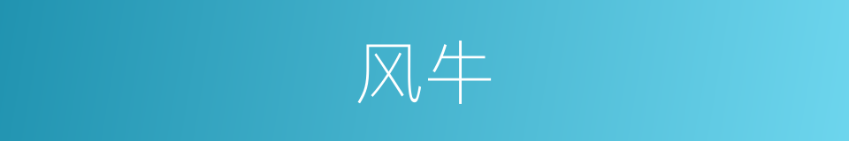 风牛的意思
