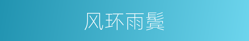 风环雨鬓的意思