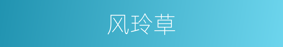 风玲草的同义词