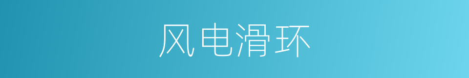 风电滑环的同义词