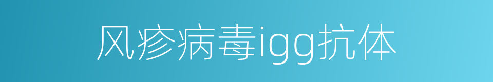 风疹病毒igg抗体的同义词
