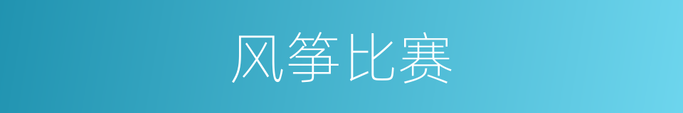 风筝比赛的同义词