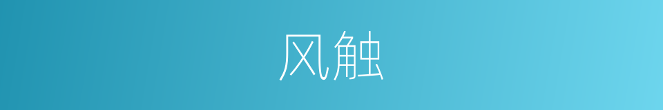 风触的同义词