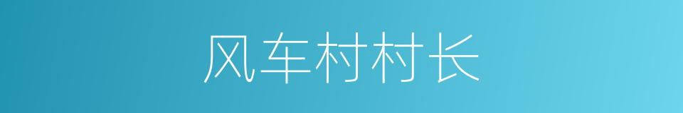 风车村村长的同义词