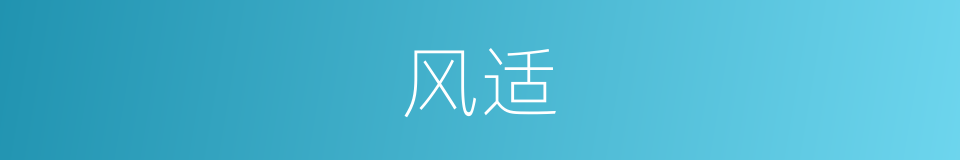 风适的同义词
