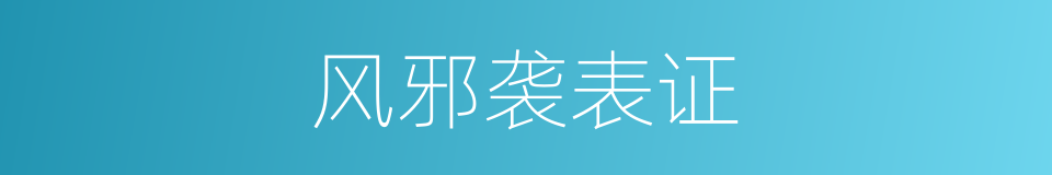风邪袭表证的同义词