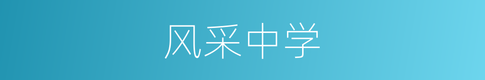 风采中学的同义词