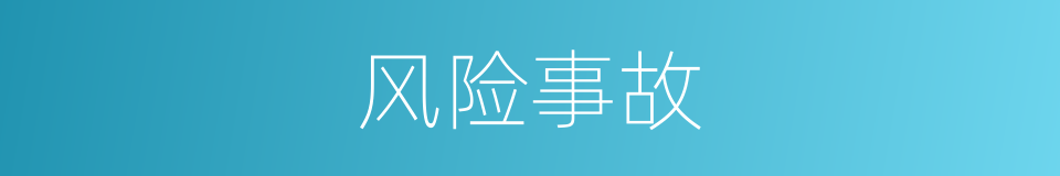 风险事故的同义词