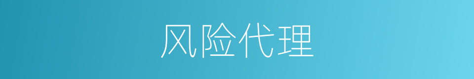 风险代理的同义词