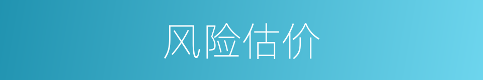 风险估价的同义词