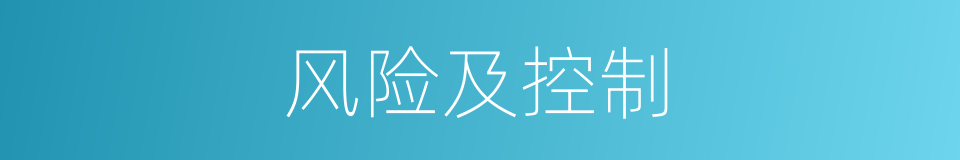 风险及控制的同义词