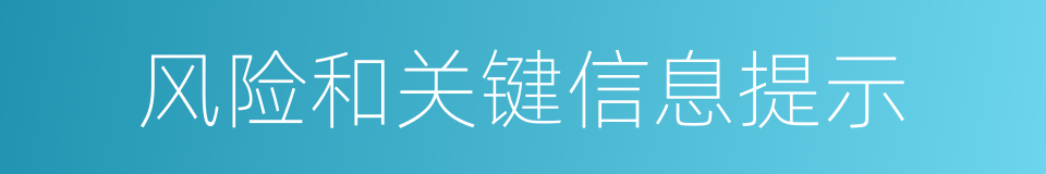 风险和关键信息提示的同义词