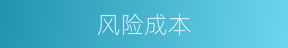 风险成本的同义词