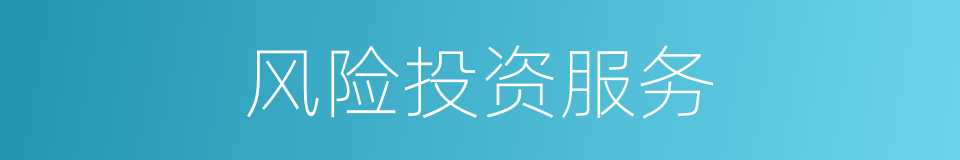 风险投资服务的同义词
